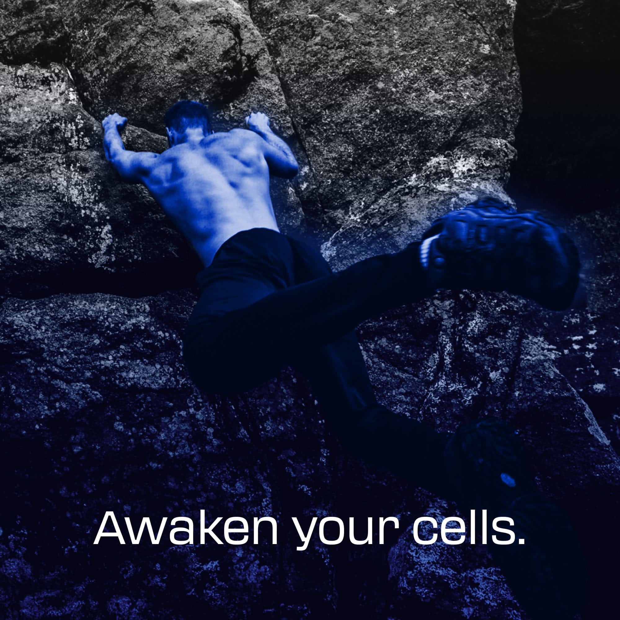 Ultimate Methylenblau 1 % 30 ml (1,0 oz) | Angebot