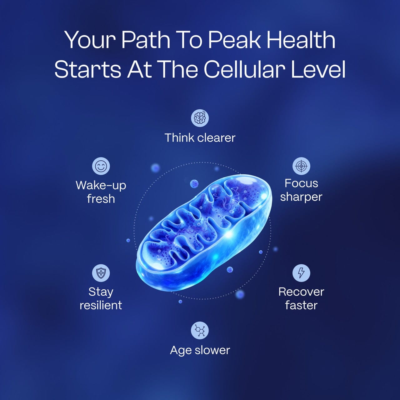 Ultimate Methylenblau 1 % 30 ml (1,0 oz) | Angebot