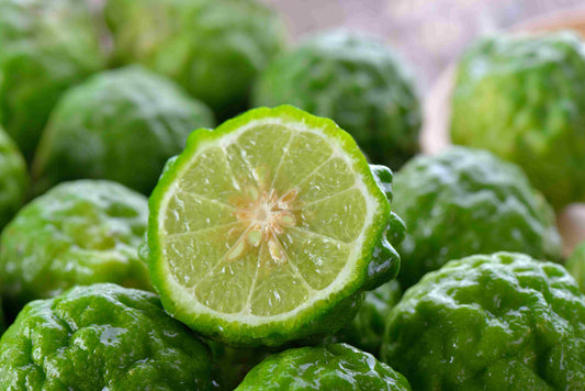 Bergamot for Cholesterol: Benefits and How It Works