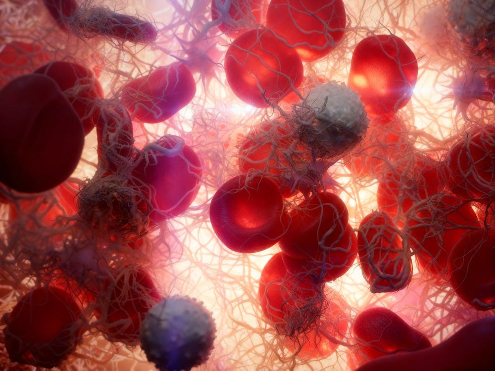 Nattokinase and Kidney Function: What to Know