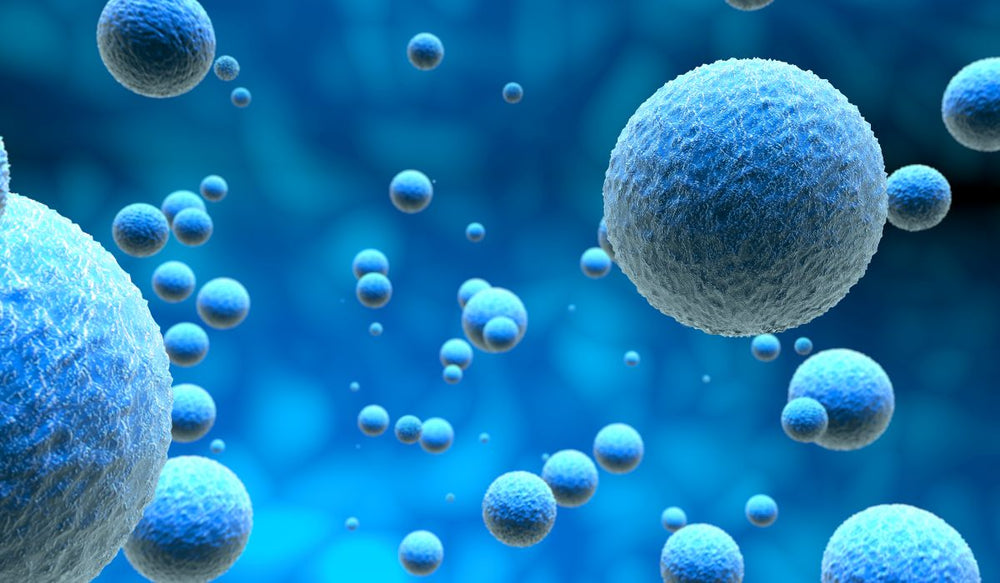 Methylene Blue and Mitochondria: How It Works