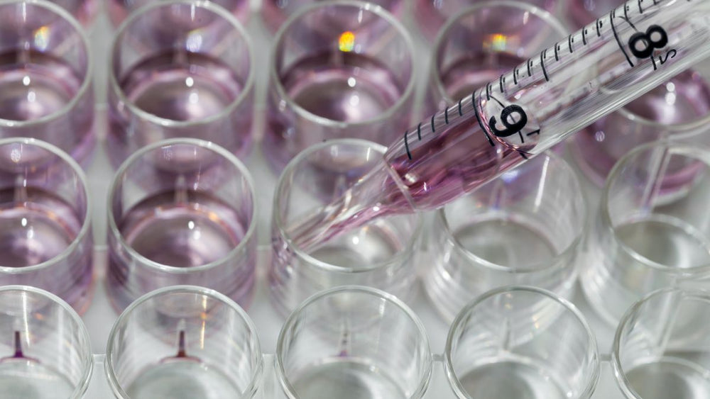 Complete List of Peptides and What They Do