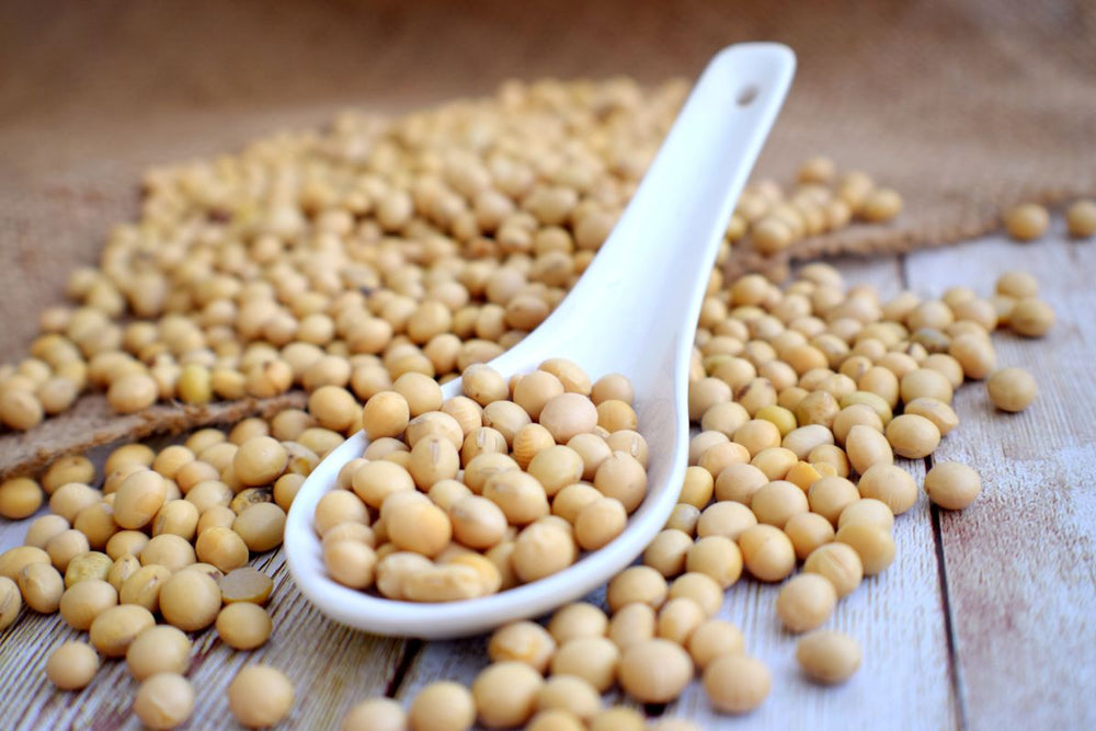 Natto vs Nattokinase