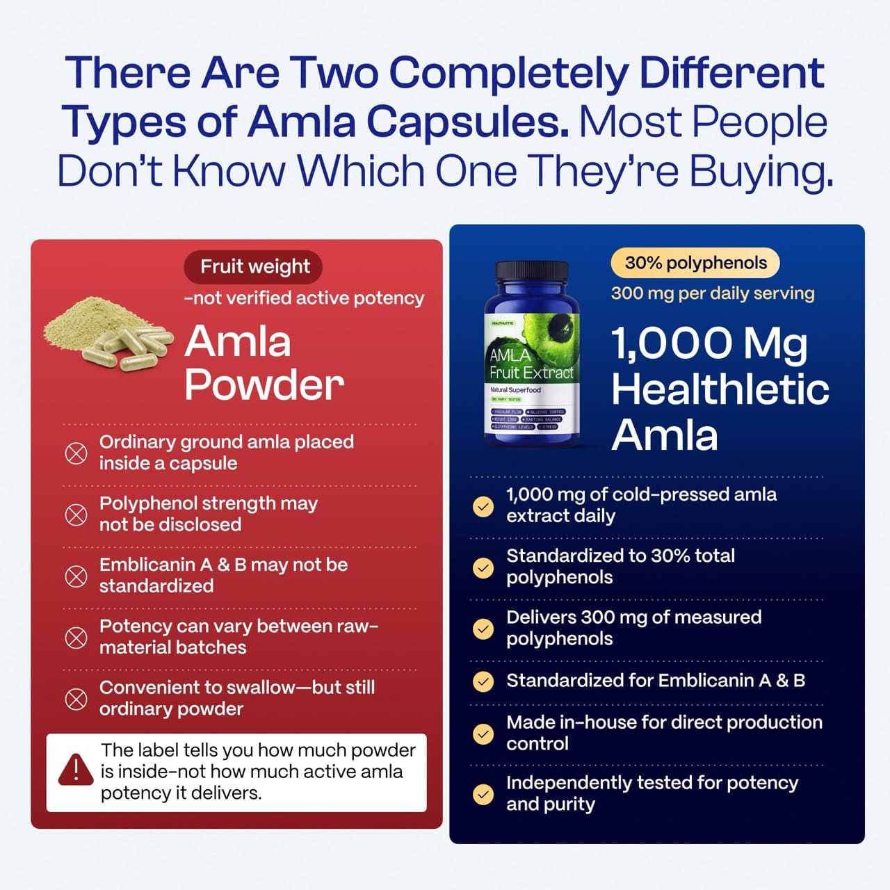 Amla Fruit Extract | 3