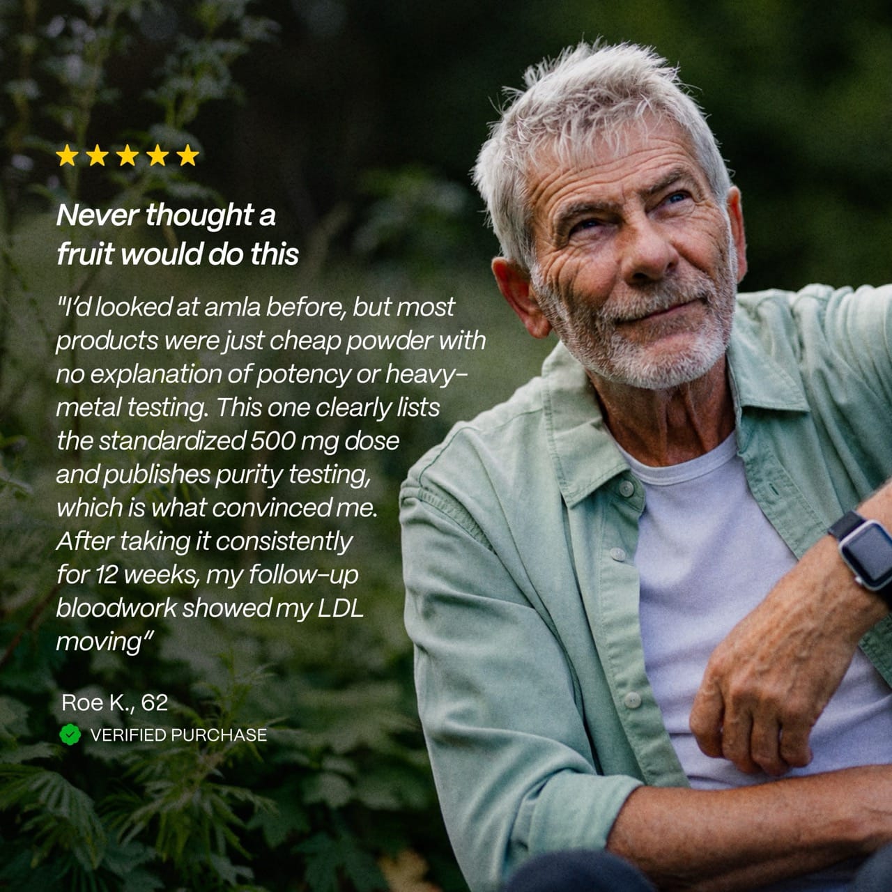 Amla Fruit Extract | 3