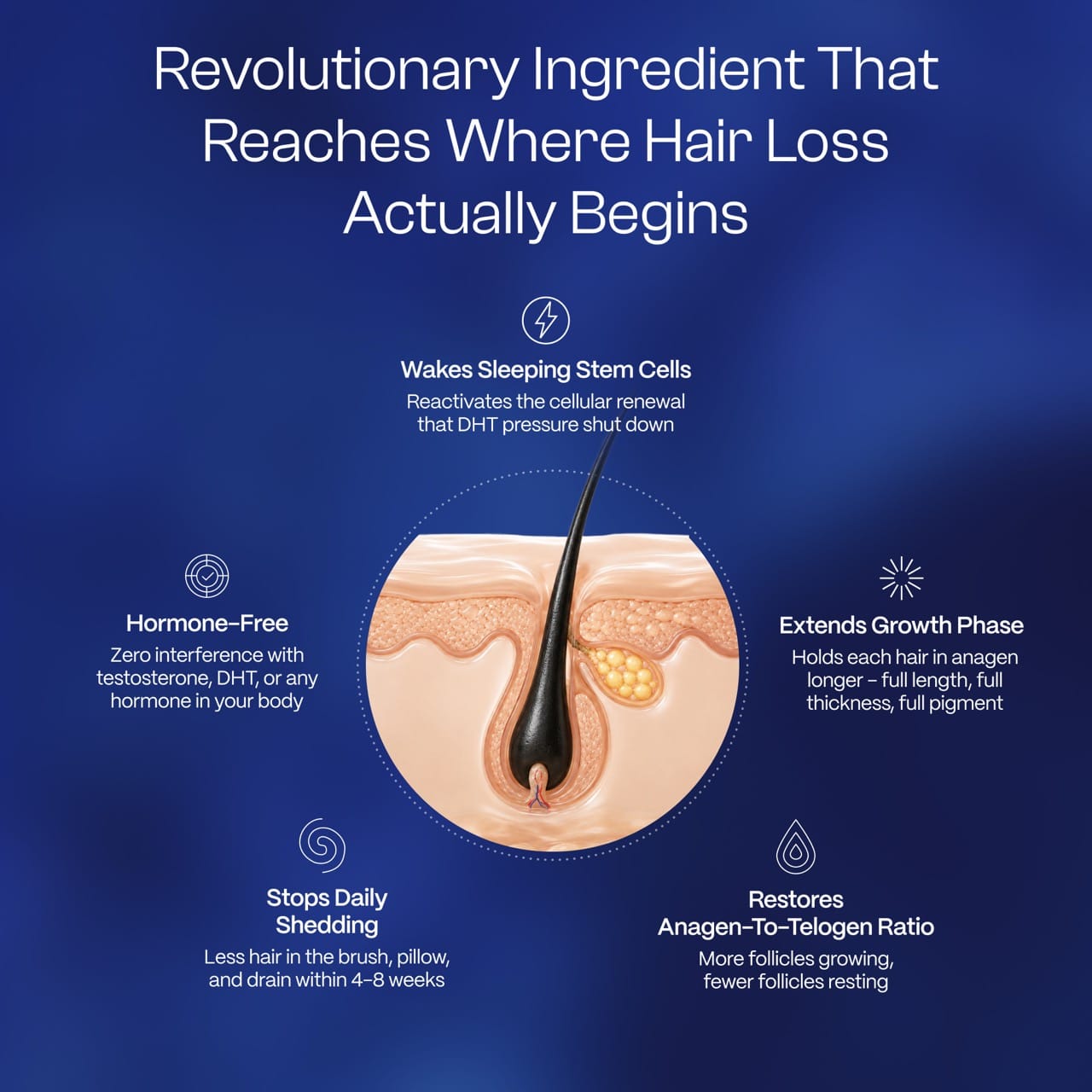 Hairmidine | Multi-Pathway Hair Growth Support Formula