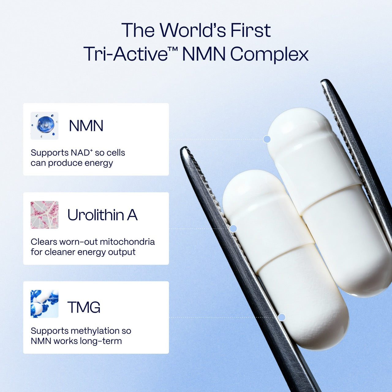 Tri-Active™ Cellular Longevity Complex