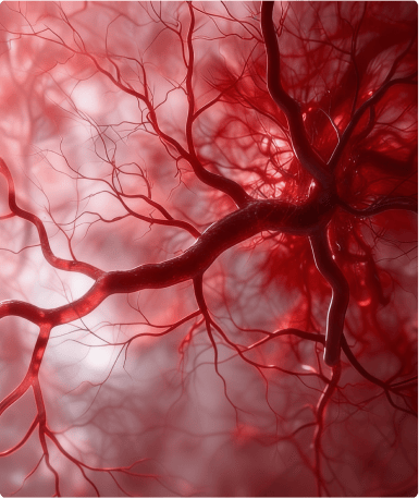 Clot Prevention