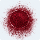 Standardized Anthocyanins - 10mg