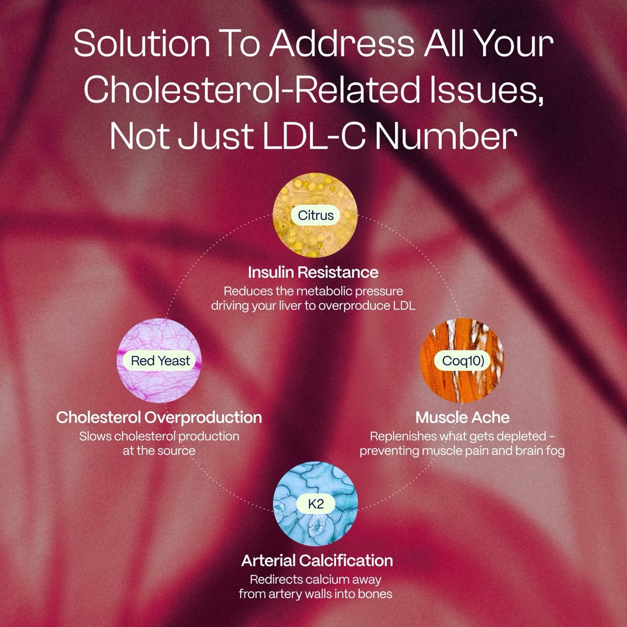 Bleu de méthylène ultime 1 % 30 ml (1,0 oz) | Offre